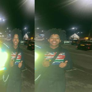 rottweiler (Explicit)