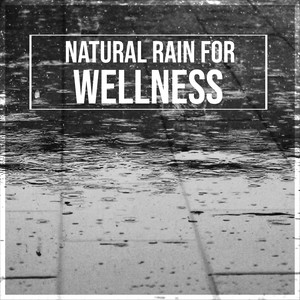 Wave Sounds to Help You Sleep