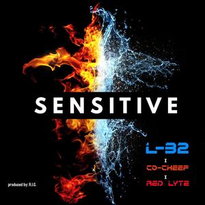 Sensitive(feat. Co-Cheef & Red Lyte) (Explicit)