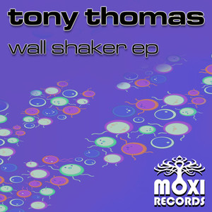 Wall Shaker