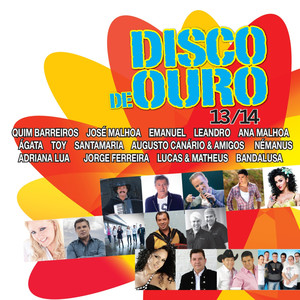 Disco de Ouro 13/14