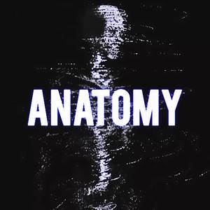 Anatomy (Original Mix)