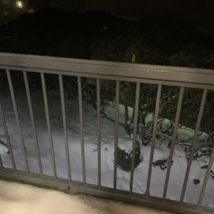 shawty bite xxxz (Explicit)