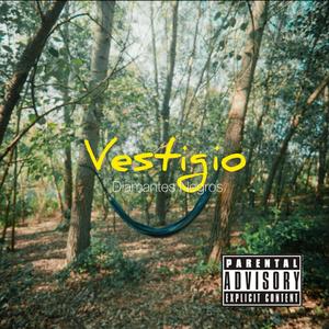 Vestigio (Explicit)