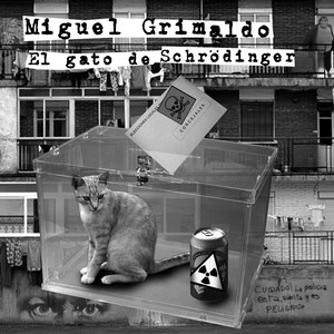 El Gato de Schrödinger