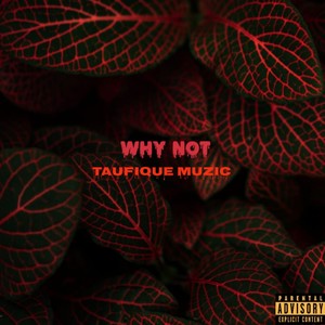 Why Not (Explicit)