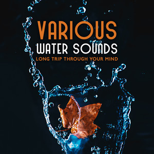 Various Water Sounds - Long Trip Through Your Mind