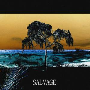 SALVAGE (打捞)