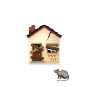 Topi in casa (feat. YS) (Explicit)