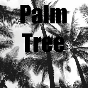 Palm Tree