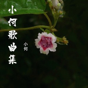 爱你一生够不够 (Demo)封面
