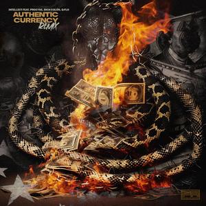 Authentic Currency (feat. Procyse, Rich Colon & Q-Flo) (Remix)