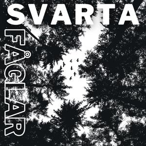 Svarta fåglar (feat. Melker Alexanderson)