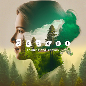 2017 Forest Sounds Collection