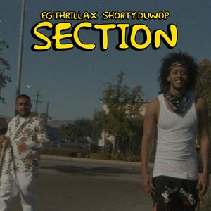 Section (Explicit)