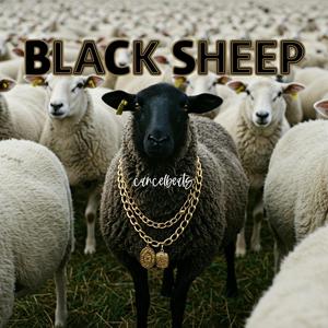 Black Sheep