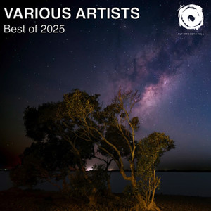 Im Not Like You (Ruff Loaderz Extended Mix)