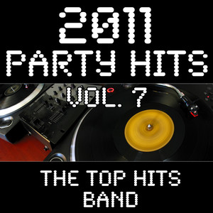 2011 Party Hits Vol. 7