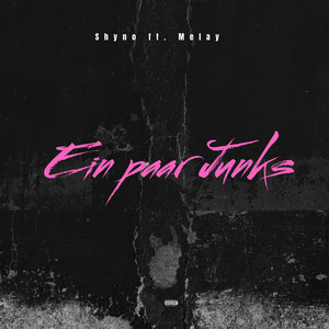 Ein Paar Junks (Explicit)