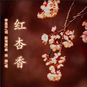 红杏香 (合唱版)