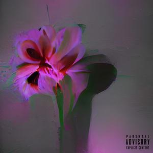 flower bloomed in a dark room (DELUXE) [Explicit]