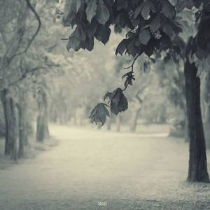 陆离光年，一首短歌