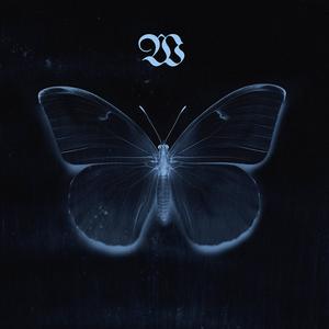 Something Has To Give