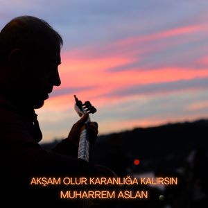 Akşam Olur Karanlığa Kalırsın (Explicit)