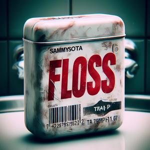 Floss (feat. Trai P) [Explicit]