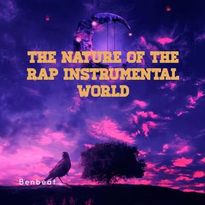 THE NATURE OF THE RAP INSTRUMENTAL WORLD