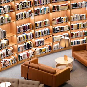 山水疗 - 落了白 学习纯音乐