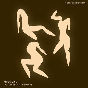 Misread (feat. Lesedi Shangwina)