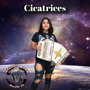 Cicatrices (feat. Satcha Lopez)