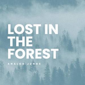 Lost In The Forest