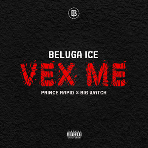 Vex Me (Explicit)