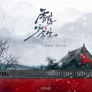 雪落叹余生 (EDM版)封面