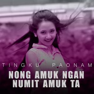 Nong amuk ngan Numit amuk ta (feat. Tingku Paonam)