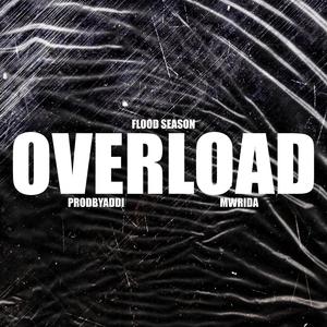 Overload (feat. MW Rida) [Explicit]