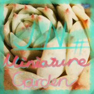 Miniature Garden (Demo)