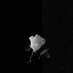 Pain And Power (Explicit)