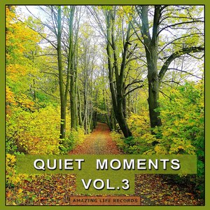 Quiet Moments, Vol. 3