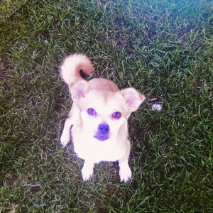 致敬那些爱过我们的人