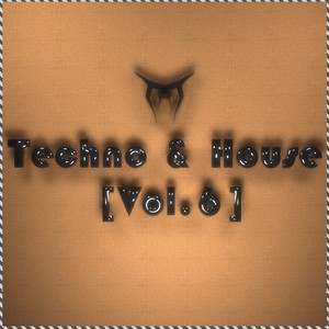 Techno & House (Vol.6)