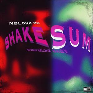 SHAKE SUM (feat. MBlokk BaBy) [Explicit]