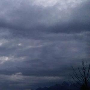 river run(s t u r g e o n)