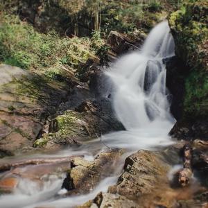 du monde (feat. Eric Jovet / I, Eternal)