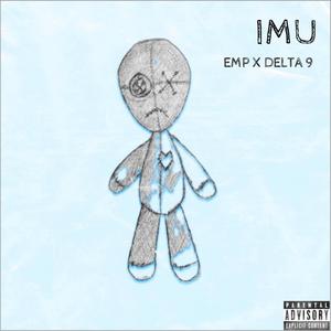 IMU (Explicit)