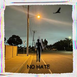 NO HATE (Explicit)