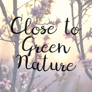 Close to Green Nature – Collection of 15 Blissful Nature Sounds Excellent for Relaxation, Sleep, Spa and Learning