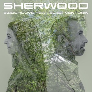 Sherwood (Radio Edit)